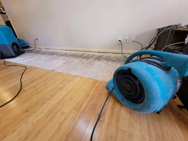 Professional Water Removal technician working in Copperas Cove, TX